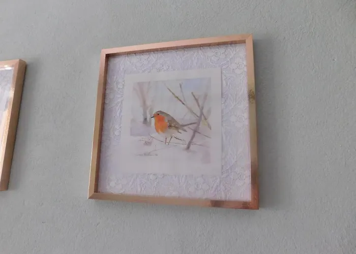 Signorina Felicita